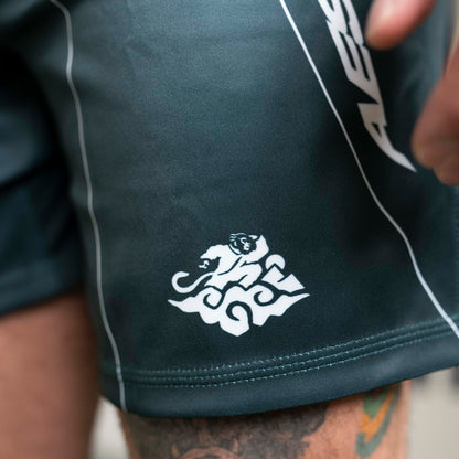 'Petrol Blue' ADCC 2026 Jozef Chen Combat Shorts